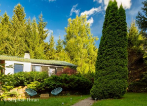Idyllisches Ferienhaus am Wald in Möhrenbach, Ilm-Kreis